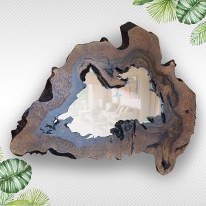 Live Edge Mirror